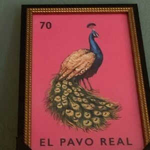 Colorful Peacock Wall Art Prints New Framed